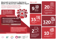 Infographics for Meaningful Involvement in Services in Health and Social Care Report image link